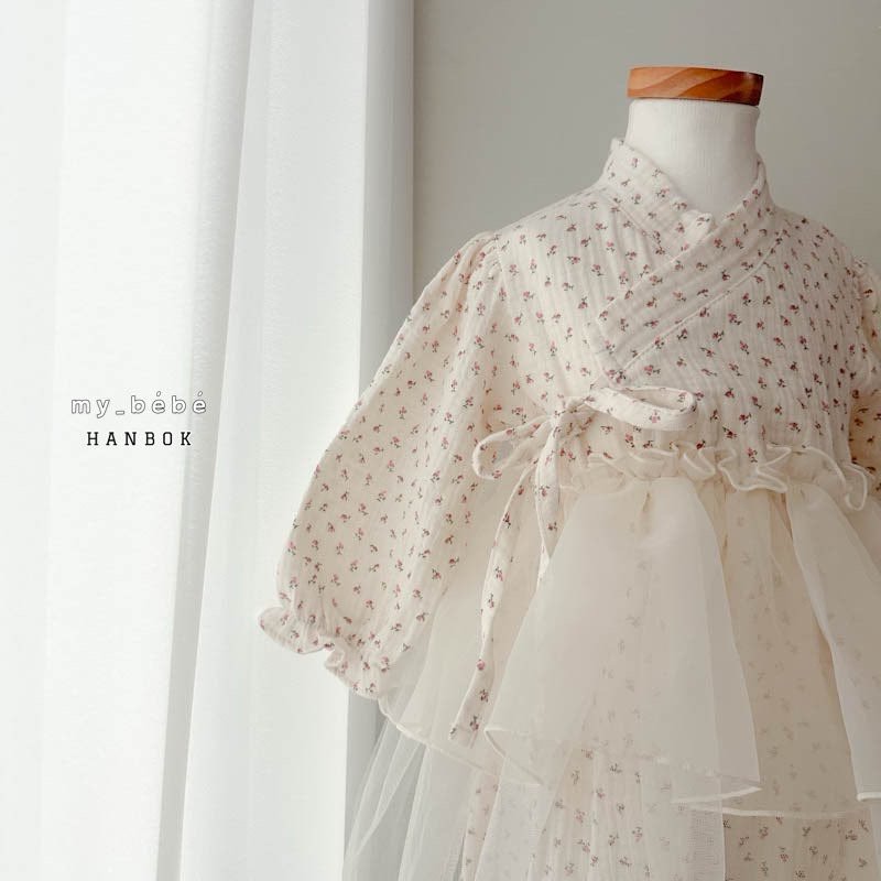 [Limited Time Order] Dress Sha Hanbok