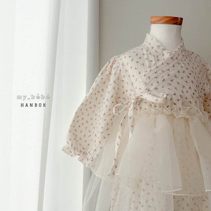[Limited Time Order] Dress Sha Hanbok