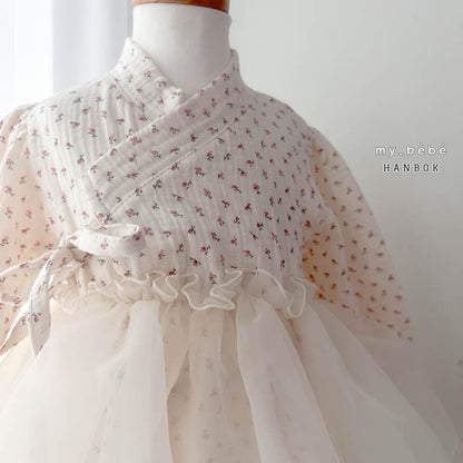 [Limited Time Order] Dress Sha Hanbok