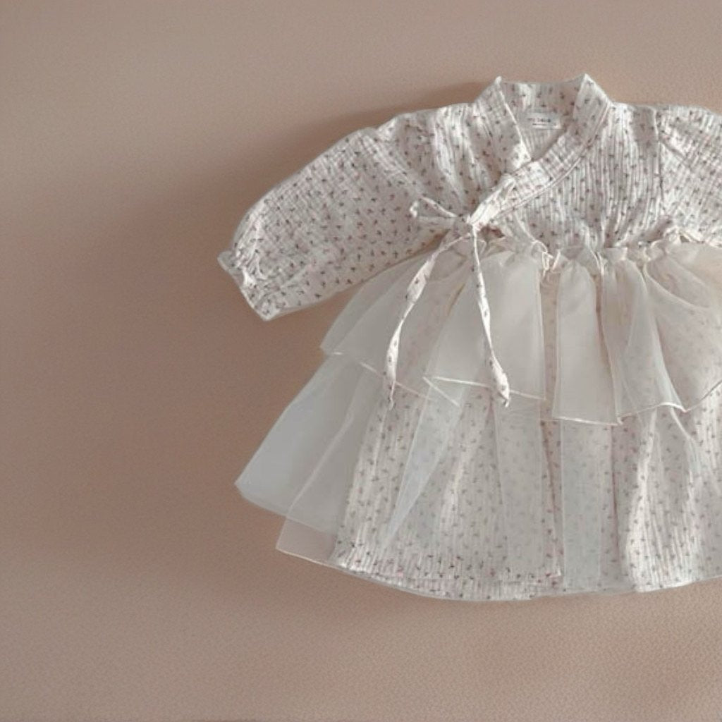 [Limited Time Order] Dress Sha Hanbok