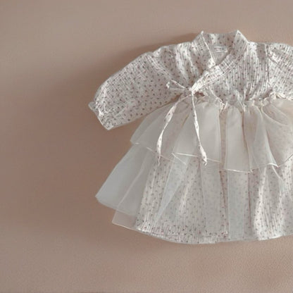 [Limited Time Order] Dress Sha Hanbok