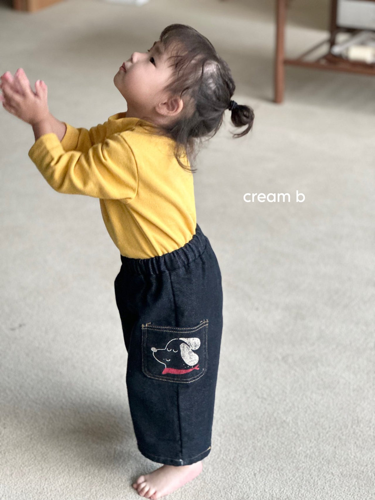 [PRE-ORDER] Dog Denim Pants