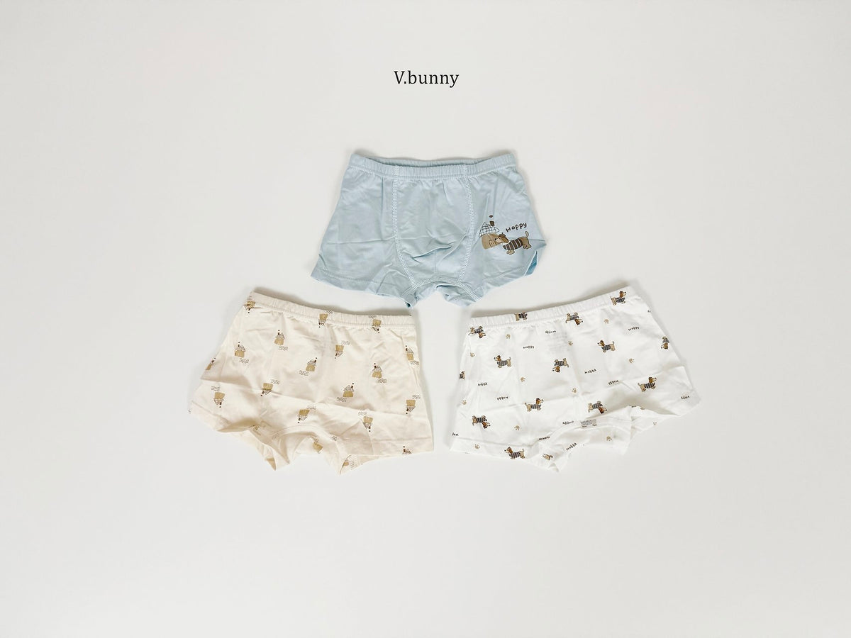 [PRE-ORDER] Happy Dog Boys' Underwear Set