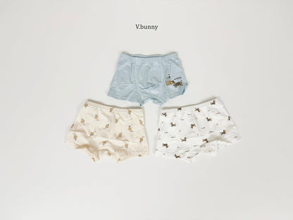 [PRE-ORDER] Happy Dog Boys' Underwear Set