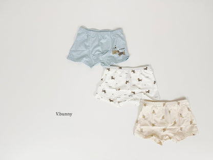 [PRE-ORDER] Happy Dog Boys' Underwear Set