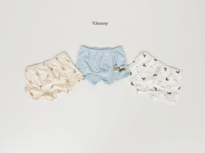 [PRE-ORDER] Happy Dog Boys' Underwear Set