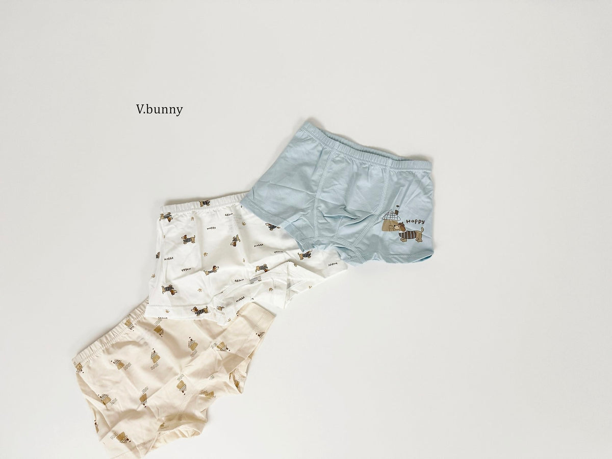 [PRE-ORDER] Happy Dog Boys' Underwear Set