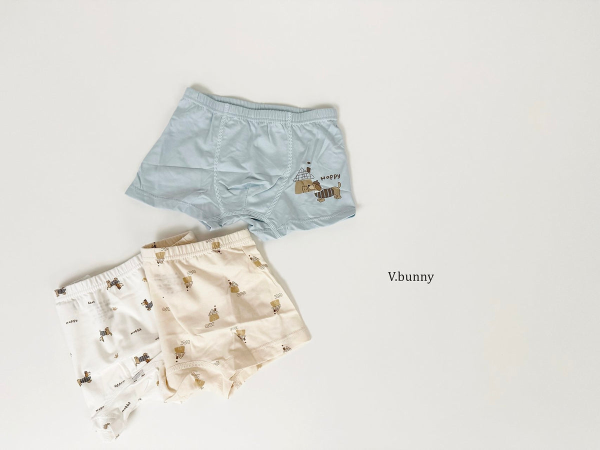 [PRE-ORDER] Happy Dog Boys' Underwear Set