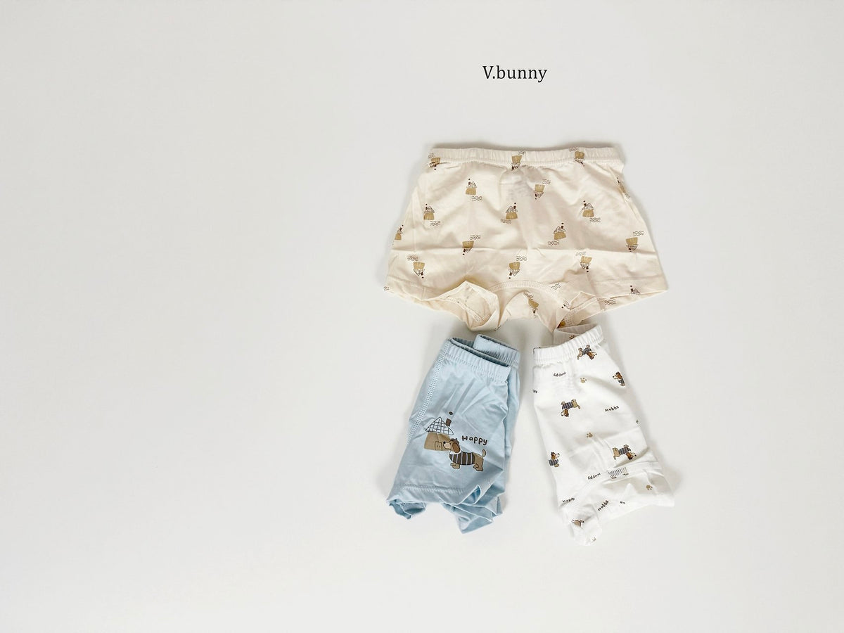 [PRE-ORDER] Happy Dog Boys' Underwear Set