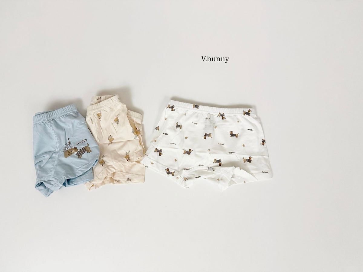 [PRE-ORDER] Happy Dog Boys' Underwear Set