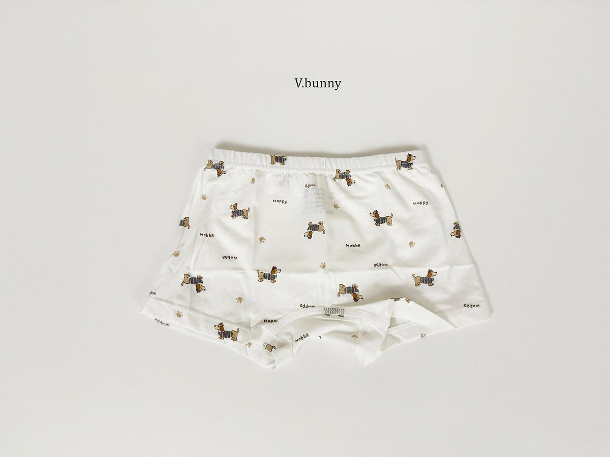 [PRE-ORDER] Happy Dog Boys' Underwear Set