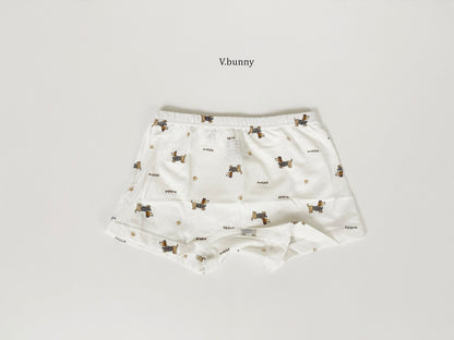 [PRE-ORDER] Happy Dog Boys' Underwear Set