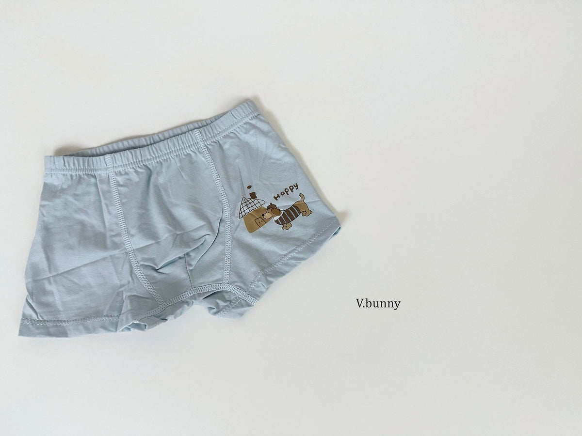 [PRE-ORDER] Happy Dog Boys' Underwear Set