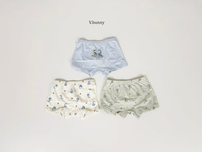 [PRE-ORDER] Jurassic Boys' Underwear Set