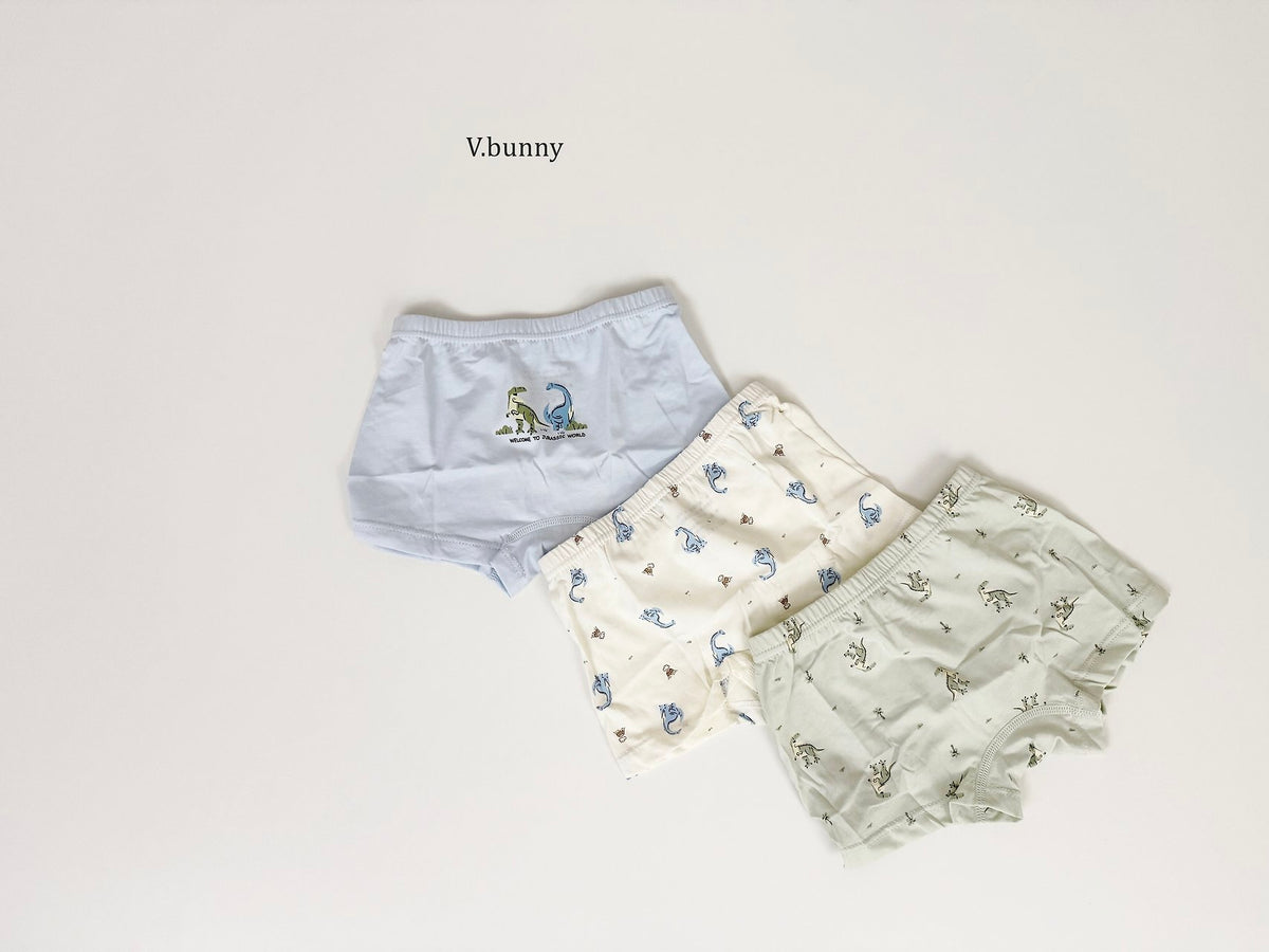 [PRE-ORDER] Jurassic Boys' Underwear Set