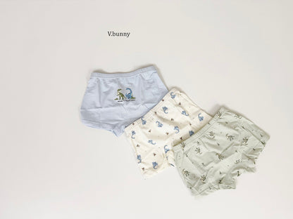 [PRE-ORDER] Jurassic Boys' Underwear Set