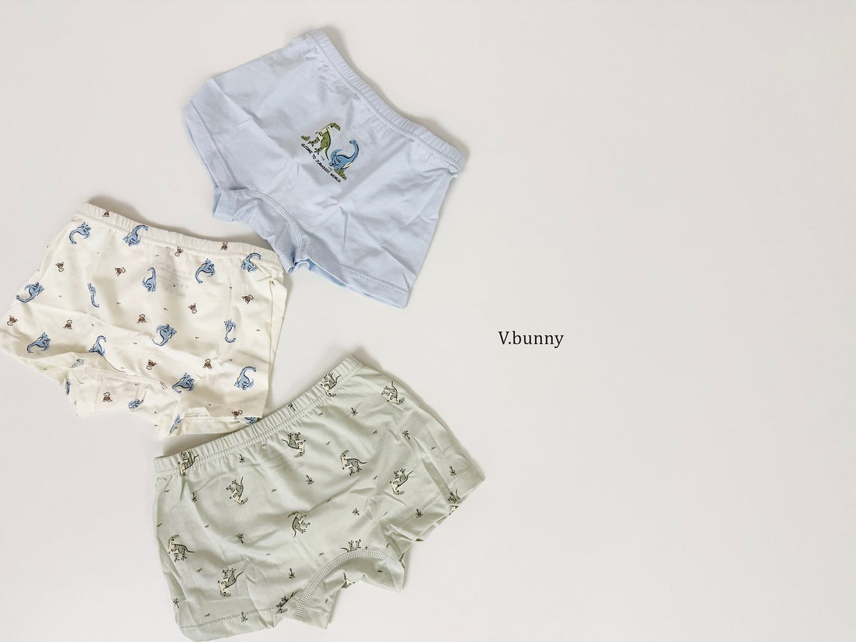 [PRE-ORDER] Jurassic Boys' Underwear Set