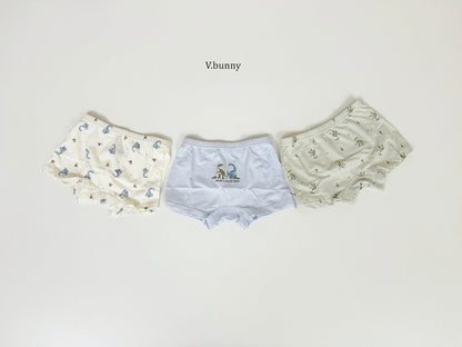 [PRE-ORDER] Jurassic Boys' Underwear Set