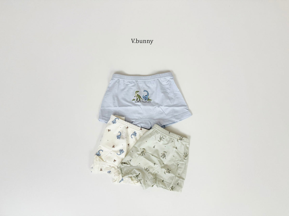 [PRE-ORDER] Jurassic Boys' Underwear Set