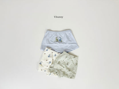[PRE-ORDER] Jurassic Boys' Underwear Set