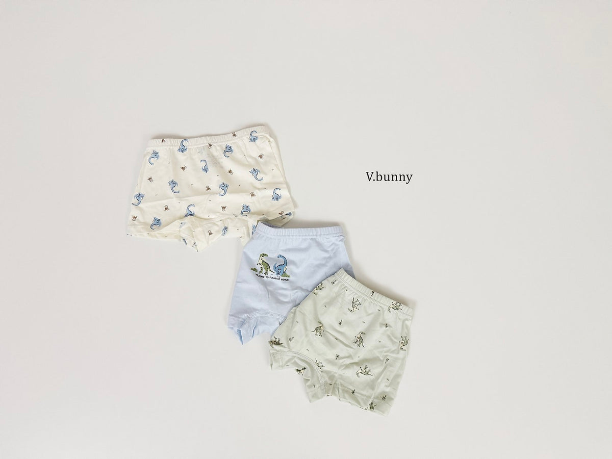 [PRE-ORDER] Jurassic Boys' Underwear Set