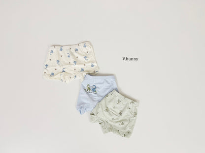[PRE-ORDER] Jurassic Boys' Underwear Set