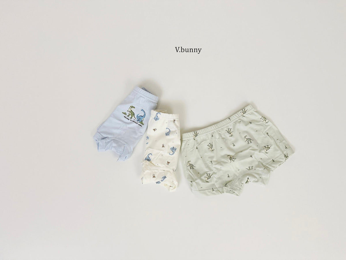 [PRE-ORDER] Jurassic Boys' Underwear Set
