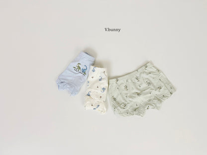 [PRE-ORDER] Jurassic Boys' Underwear Set