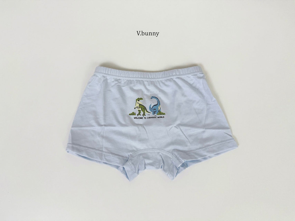 [PRE-ORDER] Jurassic Boys' Underwear Set