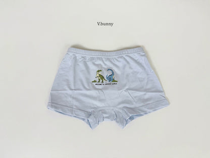 [PRE-ORDER] Jurassic Boys' Underwear Set