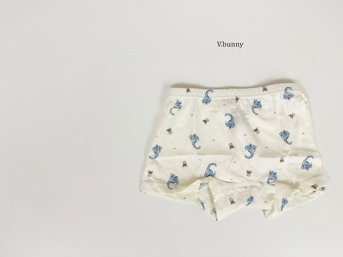 [PRE-ORDER] Jurassic Boys' Underwear Set