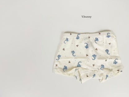 [PRE-ORDER] Jurassic Boys' Underwear Set
