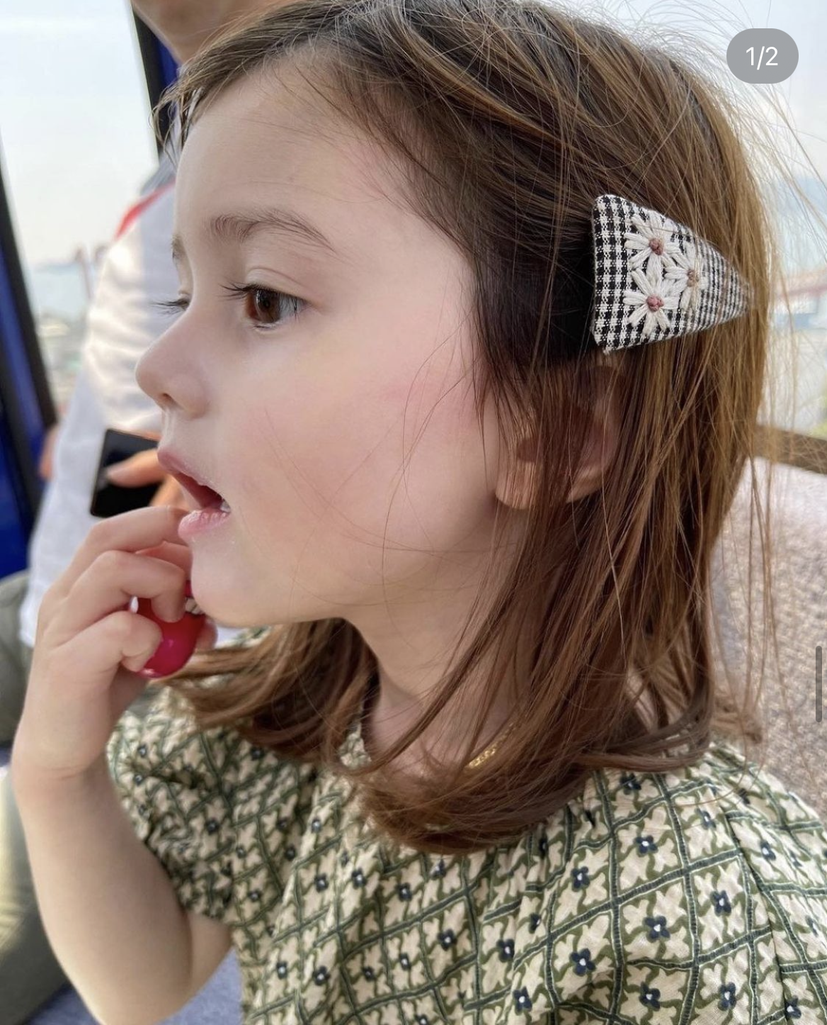 Check Embroidery Hair Pin